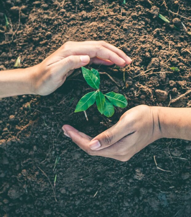 Top tips for a greener corporate retreat