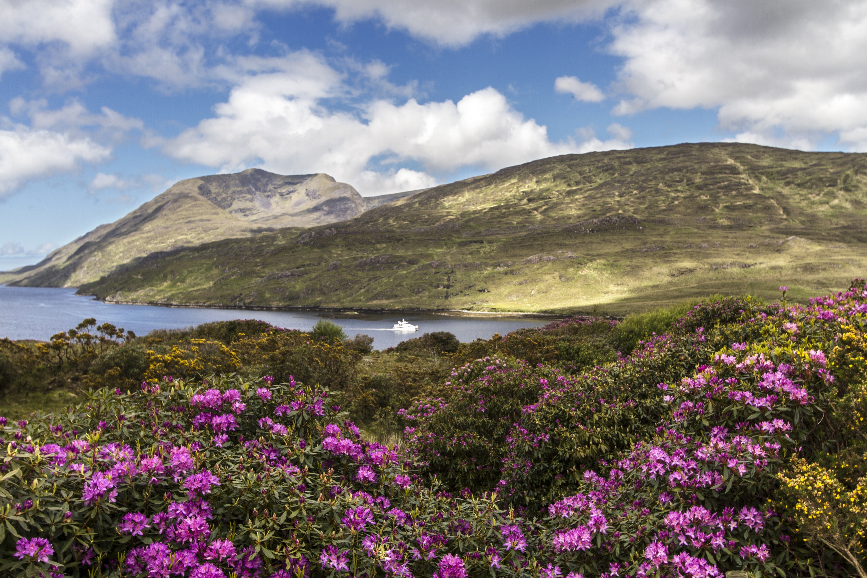 Killary Harbour Connemara